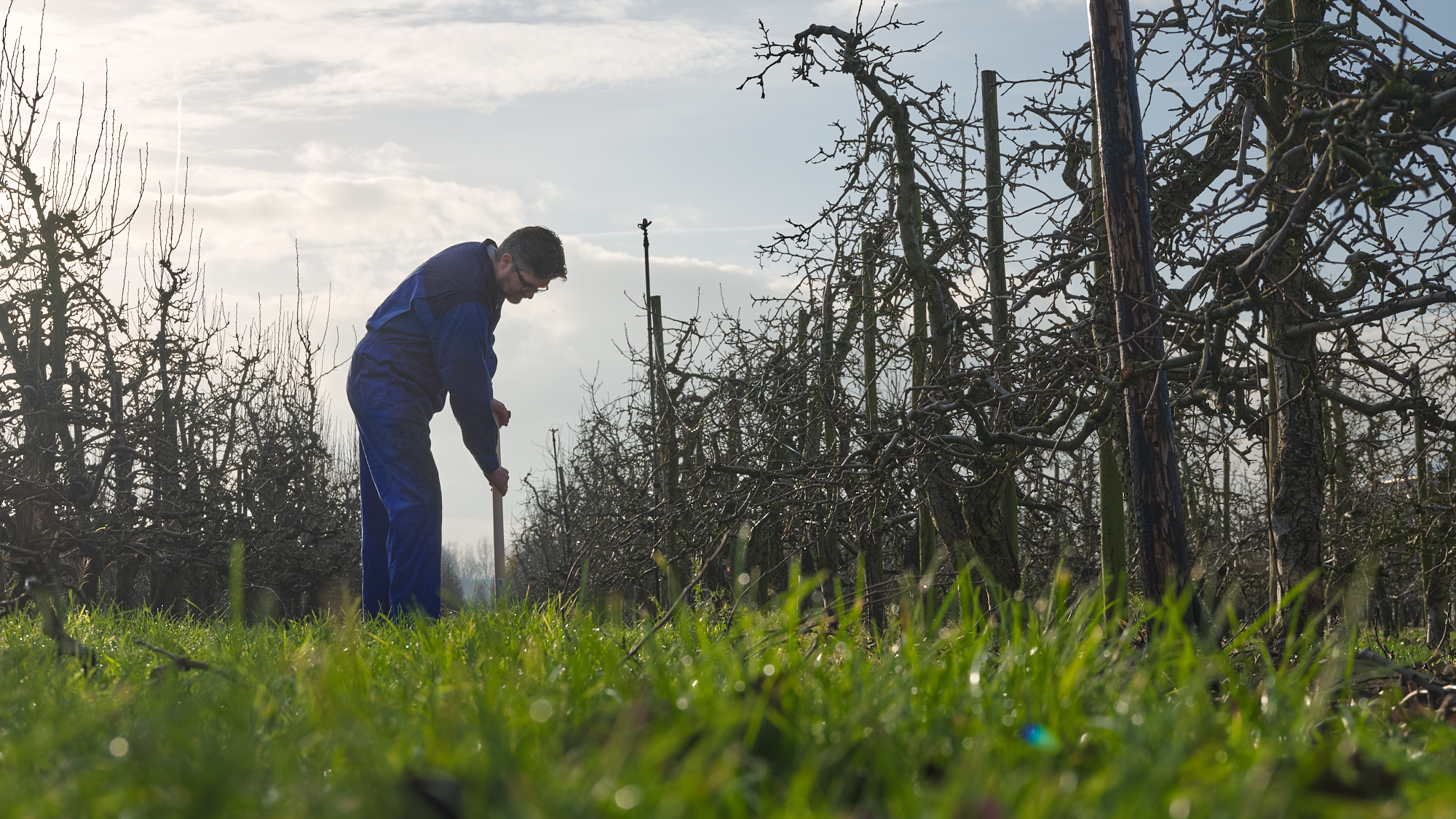 Welke rol heeft de gemeente?